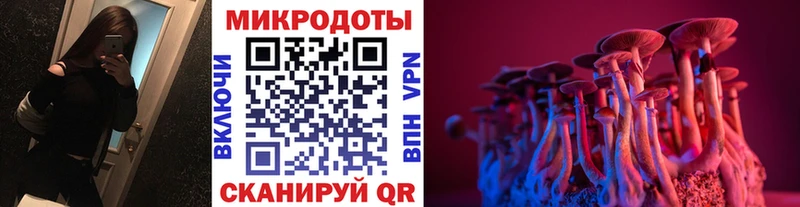 Купить  Добрянка  Псилоцибиновые грибы Psilocybine cubensis 