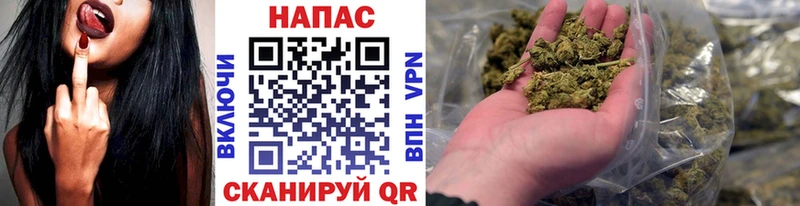 Конопля Bruce Banner  Купить где  Добрянка 